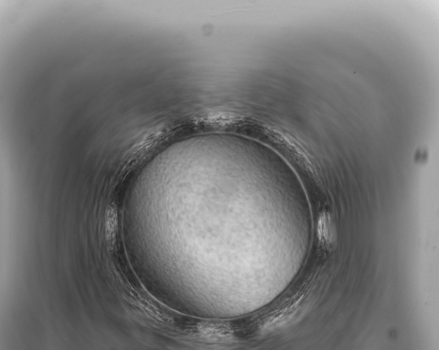 X0000095511299200712211231