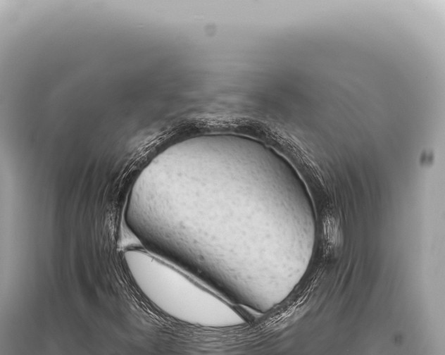 X0000095511300200712211231