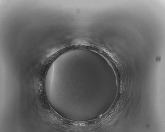 X0000095511303200712211231
