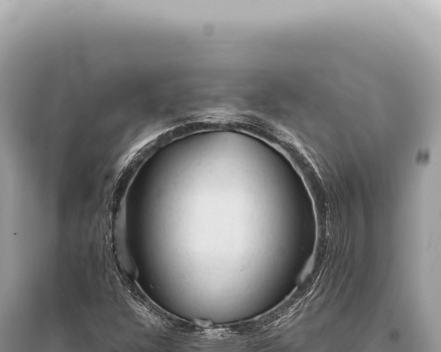 X0000095511304200712211231