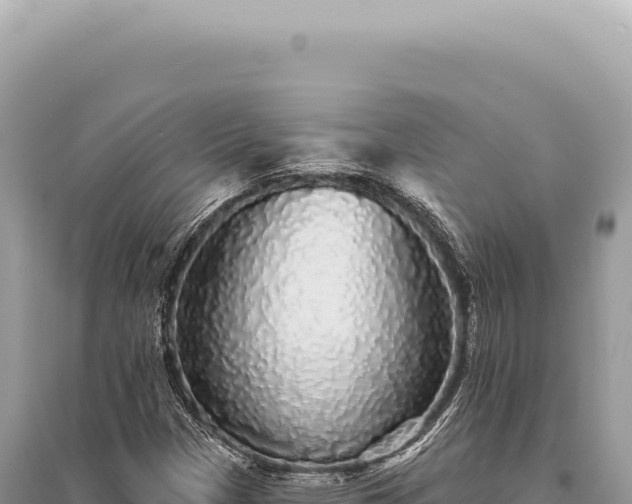 X0000095511305200712211231