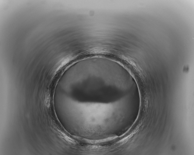 X0000095511306200712211231
