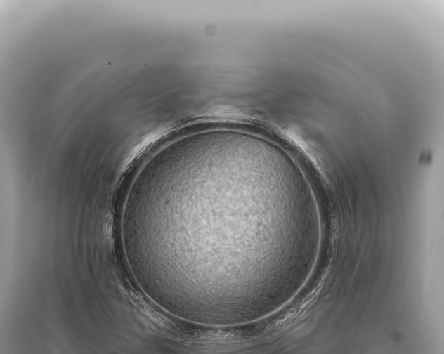X0000095511307200712211231