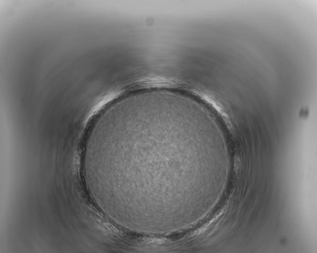 X0000095511309200712211231
