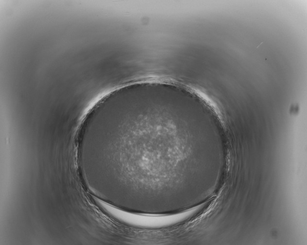 X0000095511310200712211231