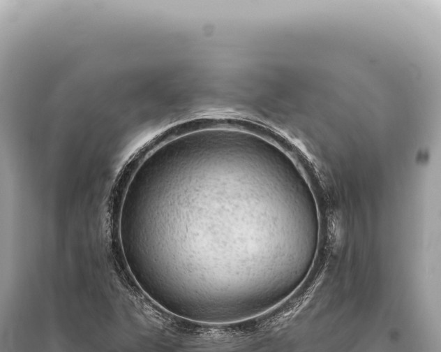 X0000095511311200712211231
