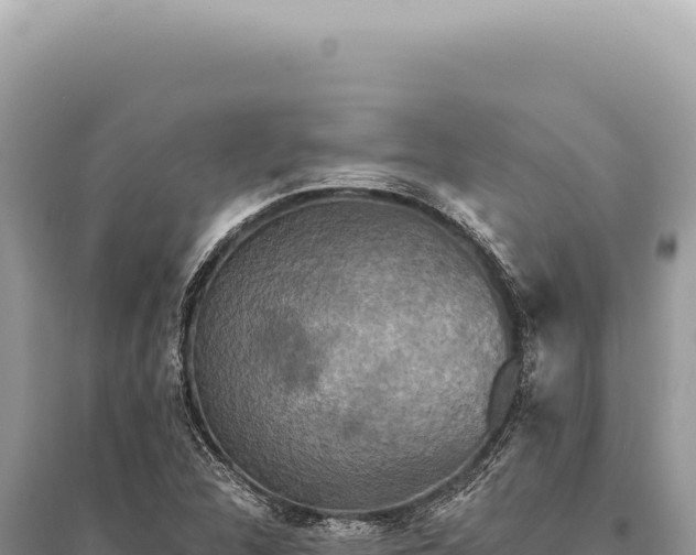 X0000095511312200712211231
