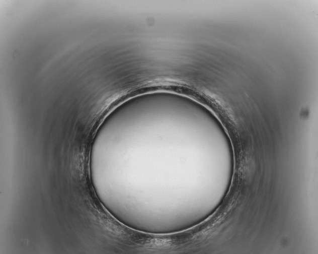 X0000095511313200712211231