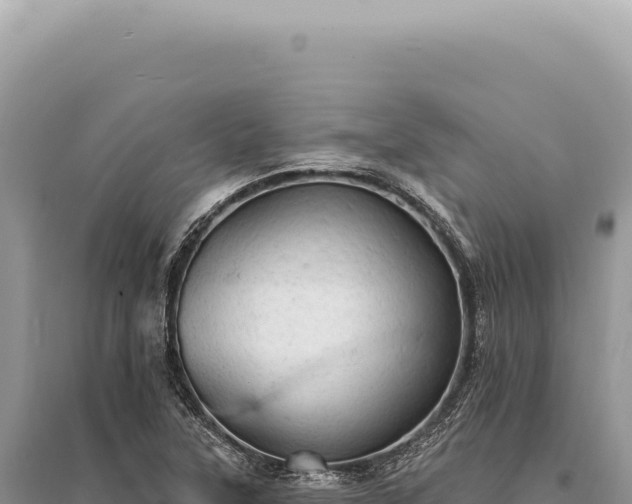 X0000095511315200712211231