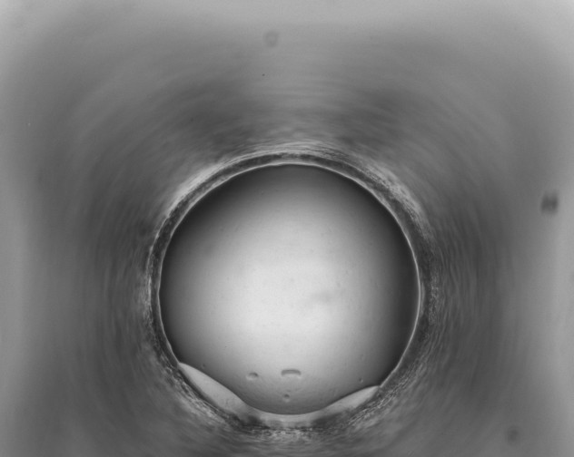X0000095511316200712211231