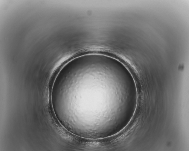 X0000095511317200712211231