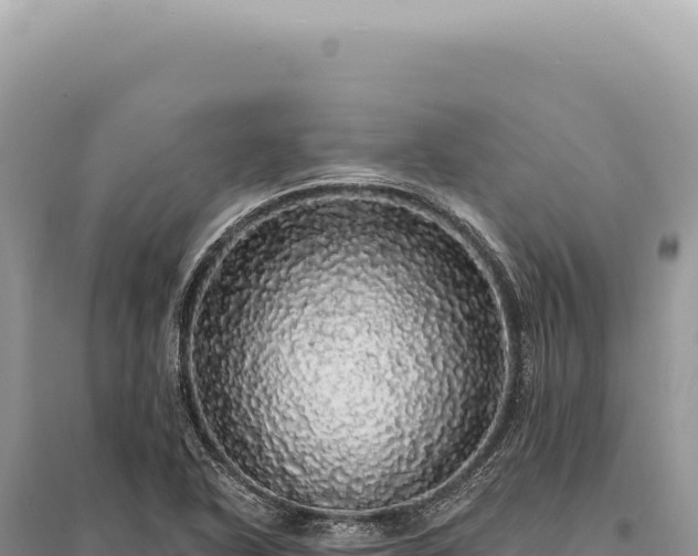 X0000095511318200712211231