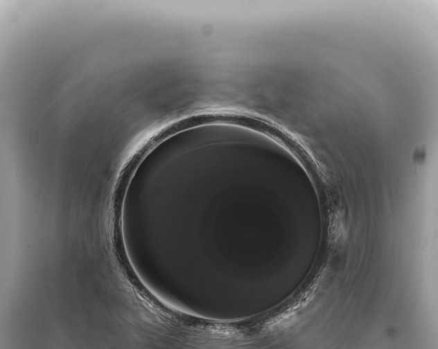 X0000095511319200712211231