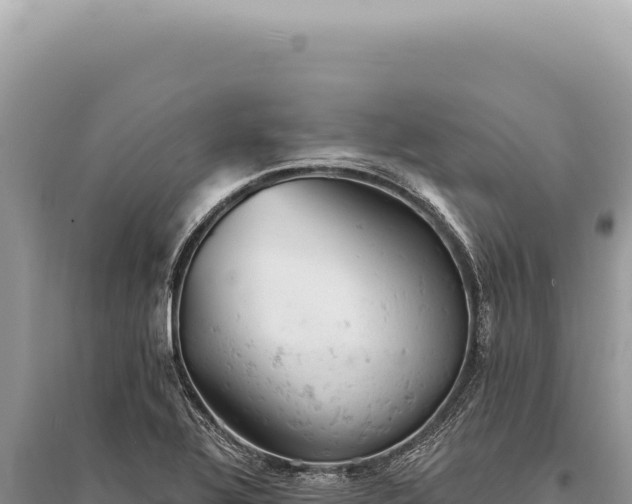 X0000095511320200712211231