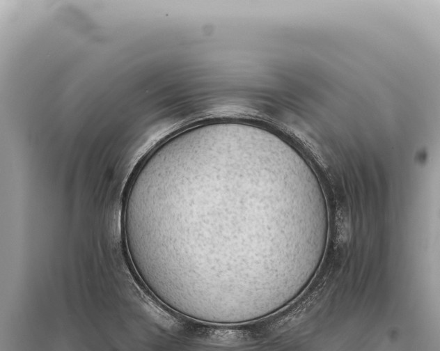 X0000095511322200712211231