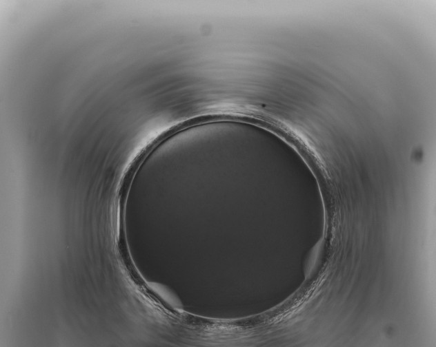X0000095511323200712211231