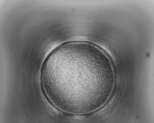 X0000095511325200712211231