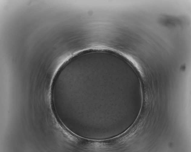X0000095511327200712211231
