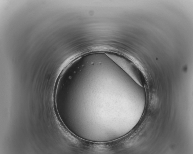 X0000095511330200712211231