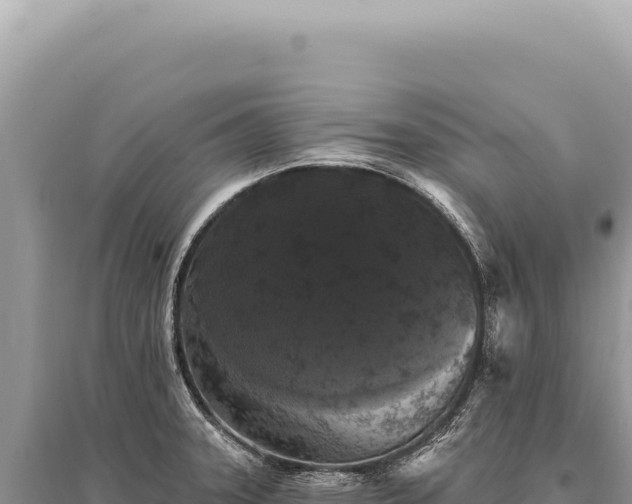 X0000095511331200712211231