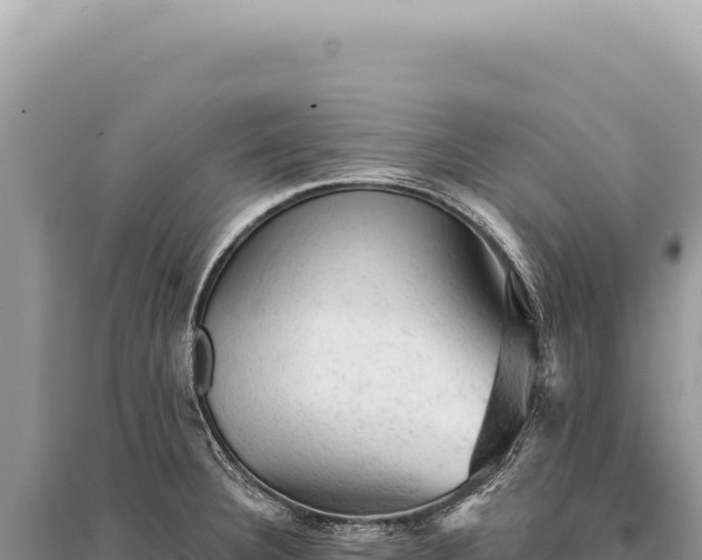 X0000095511332200712211231