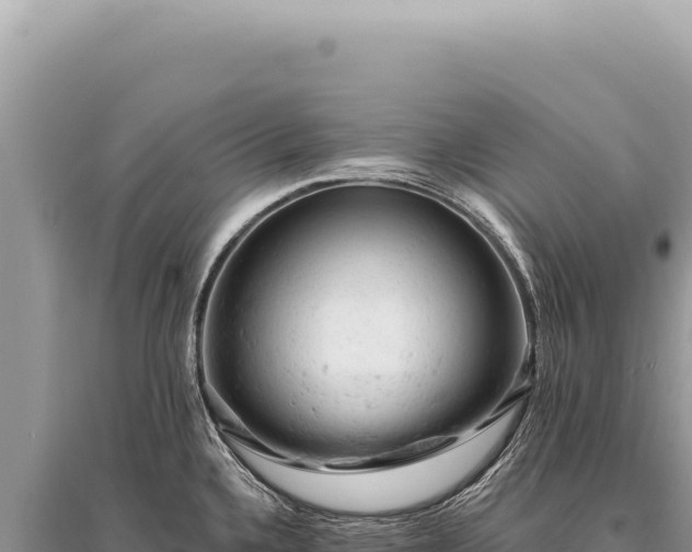 X0000095511336200712211231