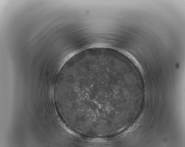 X0000095511337200712211231