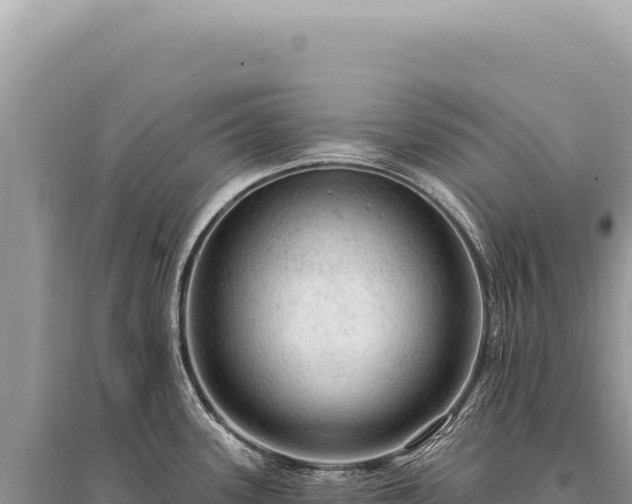 X0000095511339200712211231
