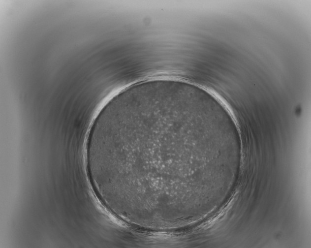X0000095511341200712211231
