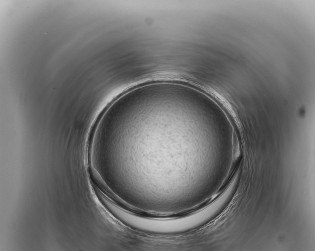 X0000095511342200712211231