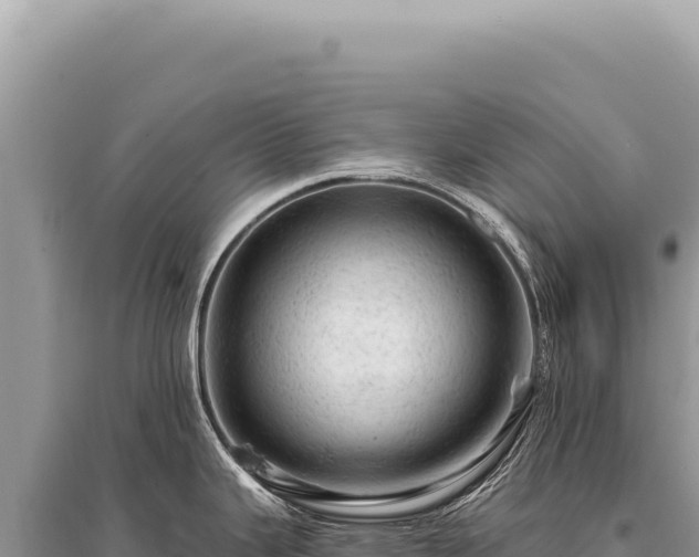 X0000095511343200712211231