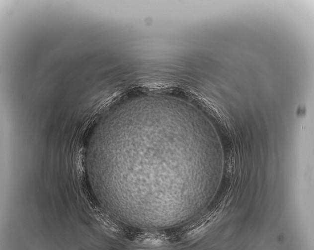 X0000095511346200712211231