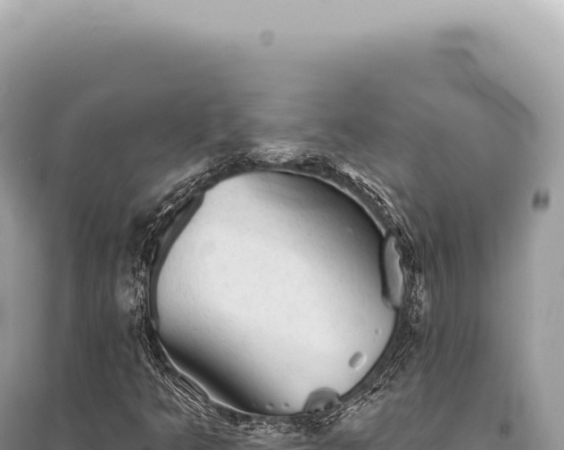 X0000095511349200712211231