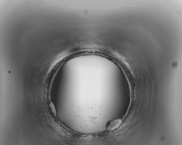 X0000095511352200712211231