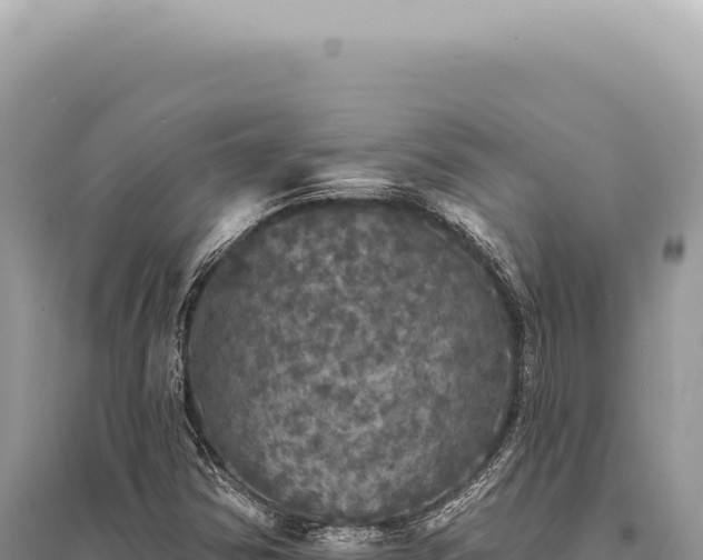 X0000095511354200712211231
