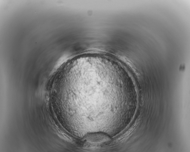 X0000095511355200712211231