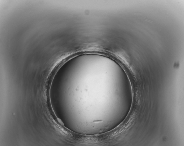 X0000095511356200712211231