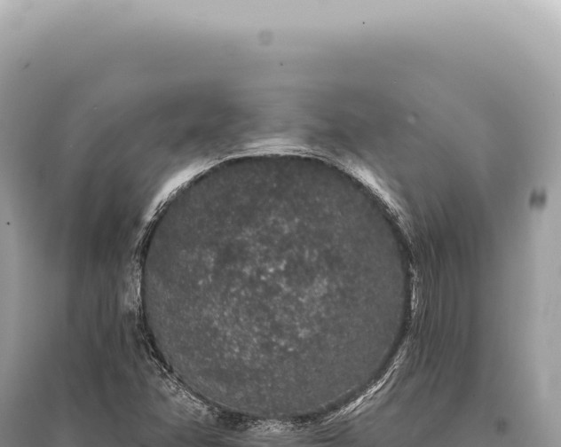 X0000095511358200712211231