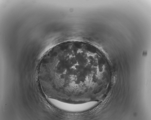 X0000095511359200712211231