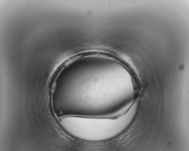 X0000095511360200712211231
