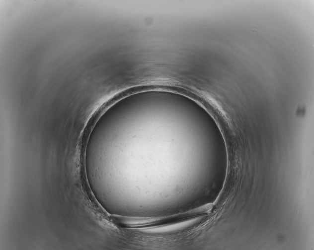 X0000095511364200712211231