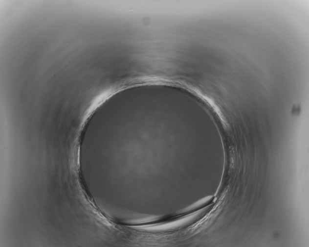 X0000095511365200712211231