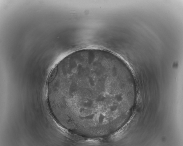 X0000095511367200712211231