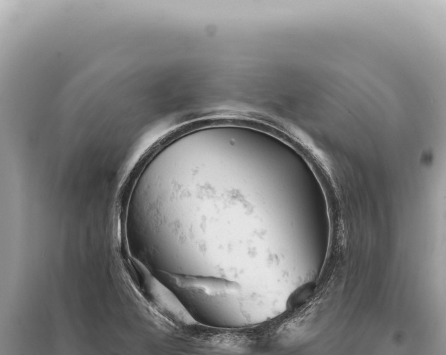 X0000095511368200712211231
