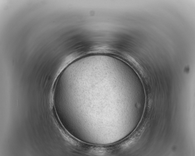 X0000095511370200712211230