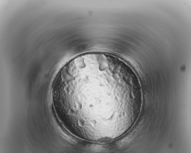 X0000095511371200712211230