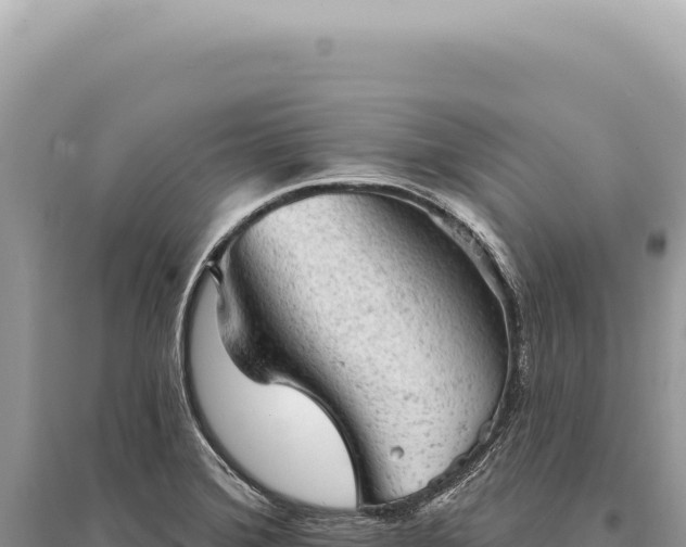 X0000095511372200712211230