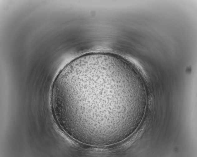 X0000095511374200712211230
