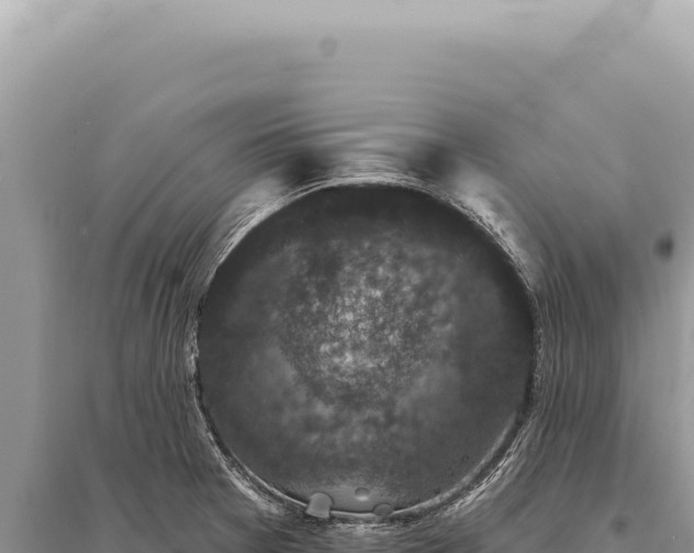 X0000095511377200712211230