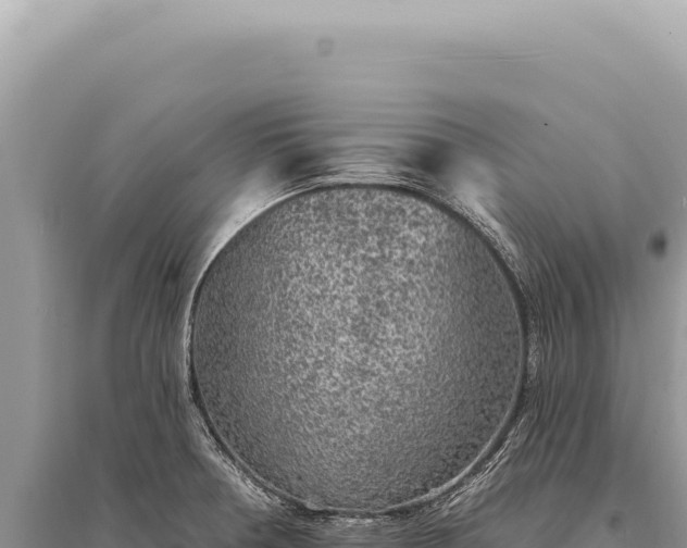 X0000095511378200712211230